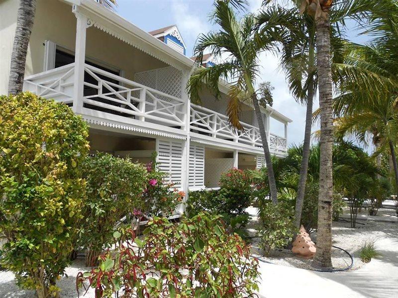Caribbean Paradise Inn Grace Bay Extérieur photo
