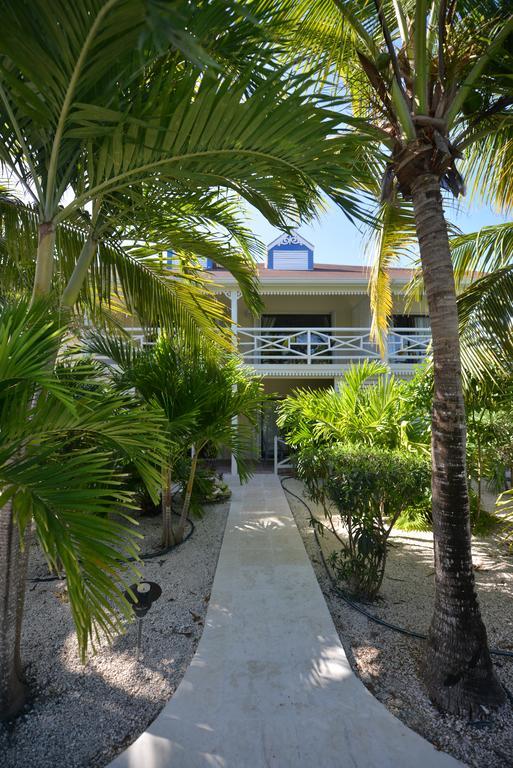 Caribbean Paradise Inn Grace Bay Extérieur photo