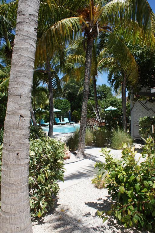 Caribbean Paradise Inn Grace Bay Extérieur photo