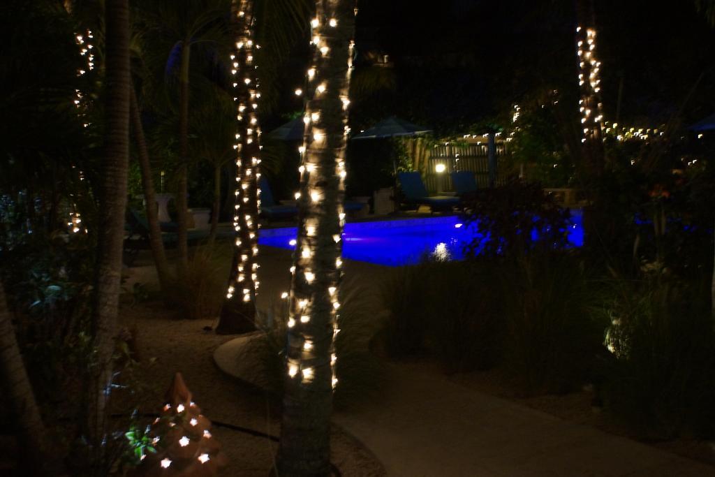 Caribbean Paradise Inn Grace Bay Extérieur photo
