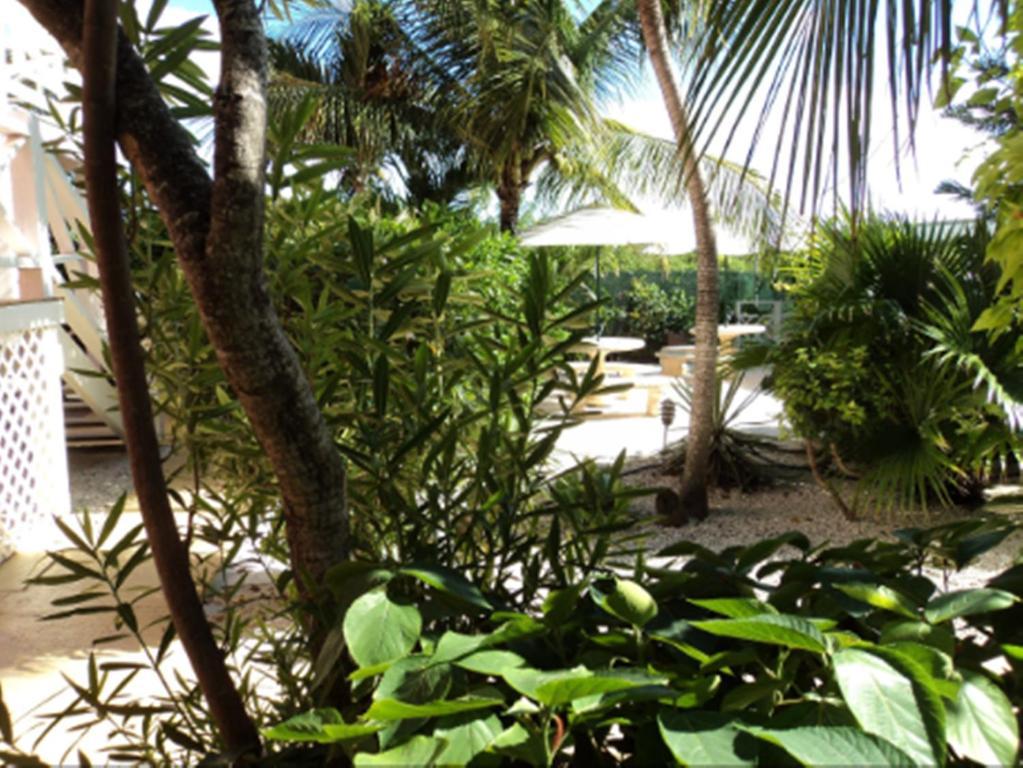 Caribbean Paradise Inn Grace Bay Extérieur photo
